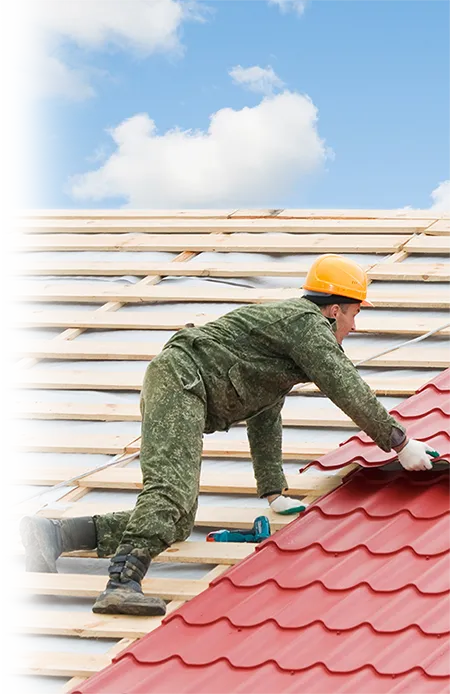 Заявки выгоднее и качественнее чем Авито